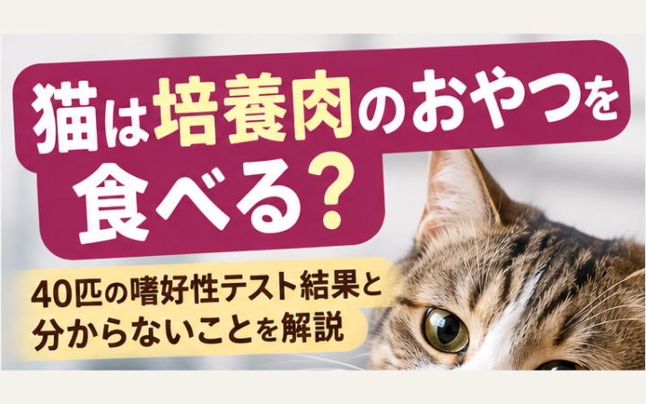 猫は培養肉のおやつを食べる？40匹の嗜好性テスト結果と分からないことを解説するイメージ