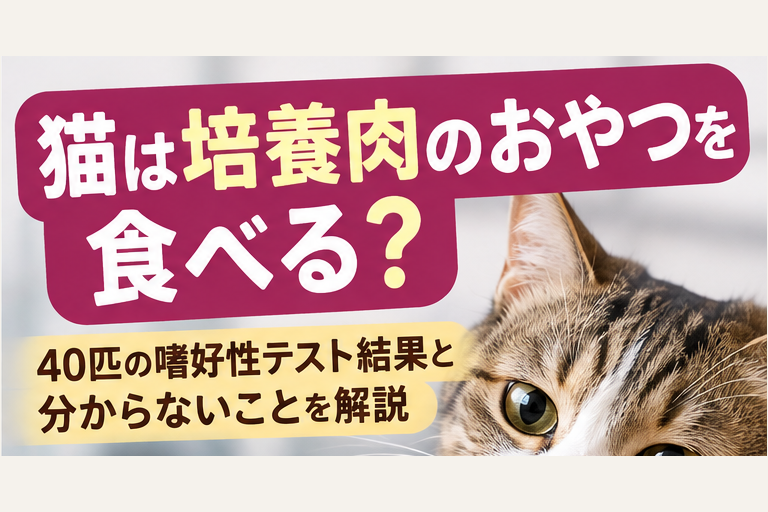 猫は培養肉のおやつを食べる?40匹の嗜好性テスト結果と分からないことを解説するイメージ